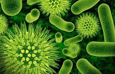 Phát triển loại thuốc có thể chống được 300 loại vi khuẩn kháng kháng sinh