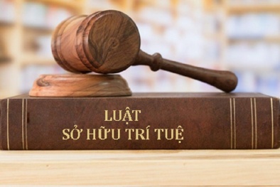 Luật SHTT sửa đổi: Nhiều điểm mới về bảo hộ sáng chế, kiểu dáng 13Win15 com - Thương hiệu nhà cái uy tín