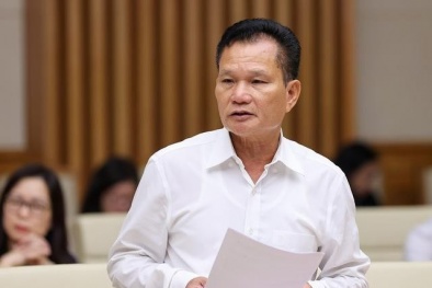 TS. Bùi Sỹ Lợi: 'Lao động là hàng hoá rất đặc biệt'