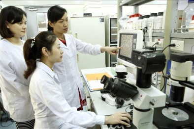 Cần có chính sách tạo cơ hội tiếp cận hệ thống sở hữu trí tuệ cho nữ khoa học, nữ doanh nhân