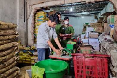 Chế tài nào cho hành vi sản xuất phân bón trái phép?