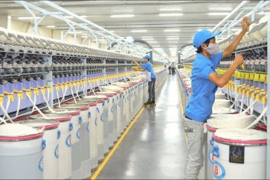 Áp dụng ISO 14000: Bài học kinh nghiệm từ Công ty Cổ phần Vĩnh Phú
