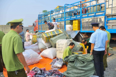 Tăng cường chống buôn lậu, gian lận 13Win19 tải ứng dụng trong 13Win19 tải ứng dụng điện tử