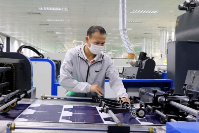 Nguồn gốc của triết lý về quản lý chất lượng toàn diện 