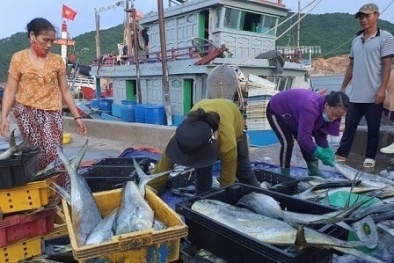 Tập trung nguồn lực, quyết liệt triển khai gỡ cảnh báo thẻ vàng IUU của EC