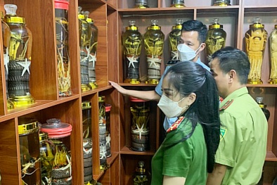 Đẩy mạnh kiểm tra, xử lý các vụ buôn lậu và gian lận 13Win19 tải ứng dụng
