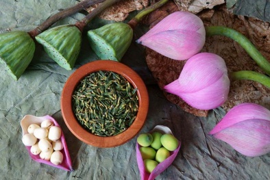 Thuốc thành phần từ thảo dược trị mất ngủ: Lợi bất cập hại