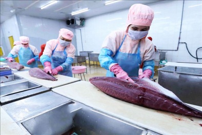 Cải tiến năng suất tổng thể: Nhìn lại những mô hình điểm