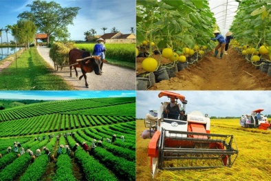 Khoa học công nghệ - khâu đột phá thúc đẩy xây dựng nông thôn mới
