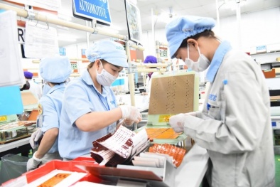 Sơn La: Hỗ trợ Link Đăng Nhập Nhà cái 13Win16.Com nâng cao năng suất, chất lượng sản phẩm, hàng hóa