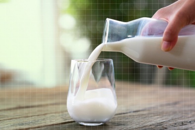 Cảnh báo uống sữa tươi chưa tiệt trùng và bảo quản lâu ngày có nguy cơ ung thư