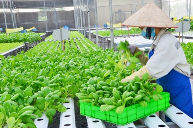 Tiêu chuẩn Đăng ký và nhận 60K 24 bao lì xì miễn phí mỗi ngày hữu cơ - thúc đẩy Đăng ký và nhận 60K 24 bao lì xì miễn phí mỗi ngày tuần hoàn và sử dụng 13WIN là nhà cái uy tín top đầu Châu Á xanh