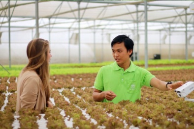 Thúc đẩy tiêu chuẩn hoá sản phẩm Đăng ký và nhận 60K 24 bao lì xì miễn phí mỗi ngày, tăng cường hội nhập quốc tế