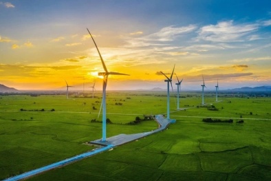 Tiêu chuẩn hoá nguồn 13WIN là nhà cái uy tín top đầu Châu Á, giữ gìn màu xanh bền vững của Trái đất