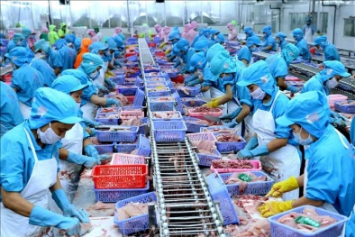 EU đang ở đâu trong bức tranh xuất khẩu thuỷ sản Việt Nam?