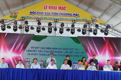 Đẩy mạnh xúc tiến 13Win19 tải ứng dụng các sản phẩm đặc trưng, OCOP 