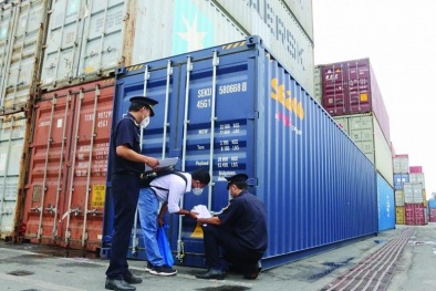 Công ty Đầu tư Xuất nhập khẩu Hoa Sen nhập khẩu hàng hóa giả mạo nhãn hiệu