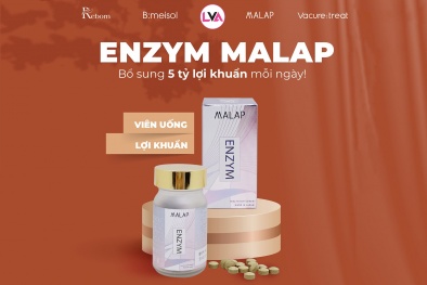 Enzym MALAP - cung cấp lợi khuẩn củng cố 13Win19 ưu đãi hấp dẫn đường ruột