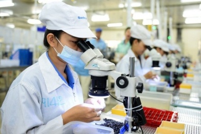 Bến Tre: Chủ động tiếp cận, vận dụng những thành tựu của cuộc CMCN 4.0 vào sản xuất, kinh doanh