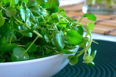 Loại rau phổ biến ở Việt Nam giá rất rẻ có thể làm giảm nguy cơ mắc nhiều loại ung thư 
