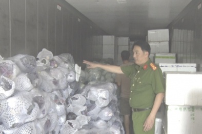 Khánh Hòa: Tiêu hủy gần 6 tấn rau củ quả không rõ nguồn gốc xuất xứ