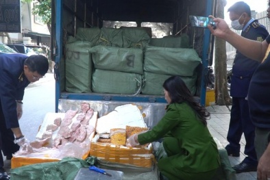 Thu giữ hàng tấn nầm và nội tạng động vật đang phân hủy