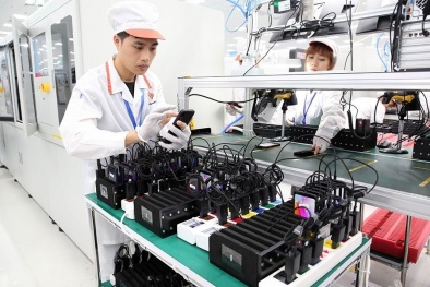 Đổi mới tổ chức, cơ chế quản lý, tự chủ của tổ chức KH&CN công lập