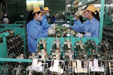 Áp dụng hệ thống quản lý, nâng cao năng lực cạnh tranh để tham gia vào chuỗi cung ứng toàn cầu 