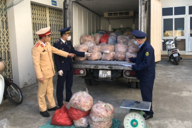Thu giữ 1,4 tấn da lợn đông lạnh không rõ nguồn gốc xuất xứ