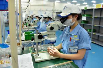 Các chính sách mới bắt đầu có hiệu lực từ tháng 1/2023