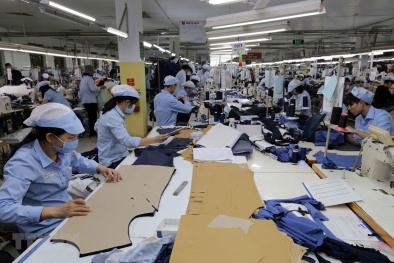  Thỏa thuận xanh có tác động như thế nào đến hàng hóa Việt Nam xuất khẩu sang Châu Âu 