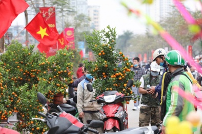 Tăng cường phòng, chống dịch dịp Tết Nguyên đán và mùa lễ hội 2023