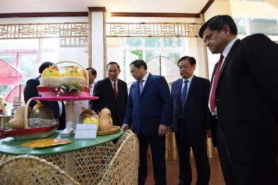 Thủ tướng: Ngành Đăng ký và nhận 60K 24 bao lì xì miễn phí mỗi ngày đẩy mạnh ứng dụng khoa học công nghệ, phấn đấu xuất khẩu đạt 55 tỷ USD năm 2023