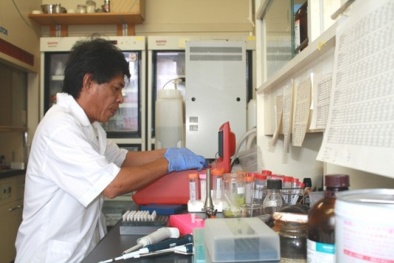 Nghiên cứu thành công hoạt chất kháng virus từ rong đỏ