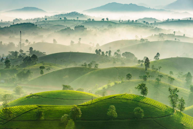 Mùa xuân trên lưng đồi