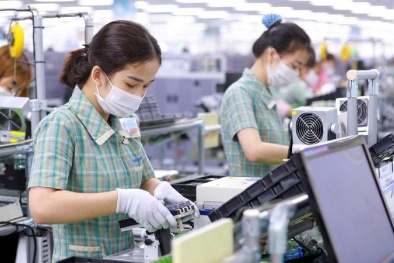 Thúc đẩy đổi mới sáng tạo, khởi nghiệp