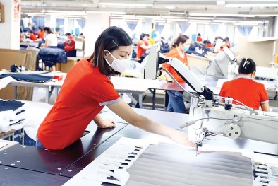 Năng suất 13Win18 cá cược thể thao là động lực cho tăng trưởng nhanh, bền vững