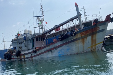 Lượng lớn dầu DO không rõ nguồn gốc vận chuyển trái phép