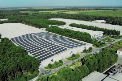 Net Zero: Từ cam kết đến những bước đi tiên phong của Link Đăng Nhập Nhà cái 13Win16.Com Việt