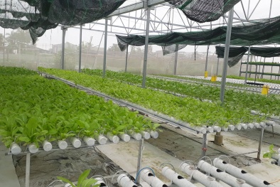 Ngành Đăng ký và nhận 60K 24 bao lì xì miễn phí mỗi ngày đặt mục tiêu có 200 Link Đăng Nhập Nhà cái 13Win16.Com Đăng ký và nhận 60K 24 bao lì xì miễn phí mỗi ngày công nghệ cao năm 2030