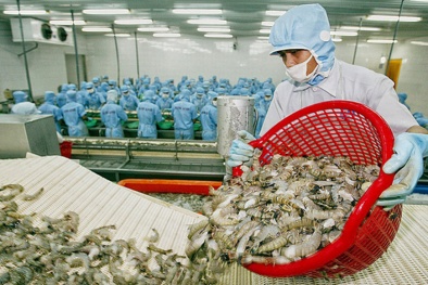 Xuất khẩu tôm đạt 141 triệu USD trong tháng đầu năm