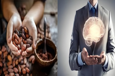 Lợi ích tuyệt vời của ca cao đối với 13Win19 ưu đãi hấp dẫn trí não