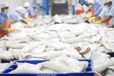 Hàn Quốc nhập khẩu 72 nghìn tấn thủy sản Việt Nam