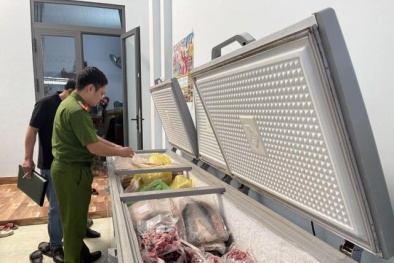 Đắk Lắk: Tạm giữ hơn 03 tấn 13Win OKVIP Cá cược bóng đá đông lạnh không rõ nguồn gốc