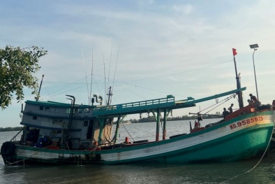 Liên tiếp bắt giữ lượng lớn dầu DO không rõ nguồn gốc