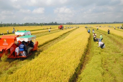 Tích tụ tập trung ruộng đất - Xu thế tất yếu phát triển nền Đăng ký và nhận 60K 24 bao lì xì miễn phí mỗi ngày hàng hóa
