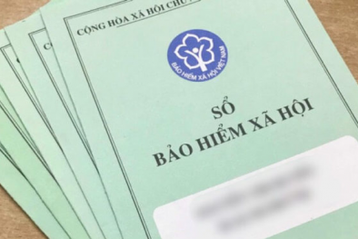 Những thiệt hại đối với người 13Win18 cá cược thể thao khi rút bảo hiểm xã hội một lần