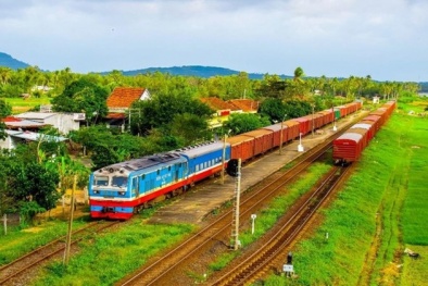 Phê duyệt kế hoạch chính sách, giải pháp và nguồn lực thực hiện quy hoạch mạng lưới đường sắt