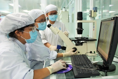 Hình thành nền tảng để tạo bứt phá về năng suất, chất lượng
