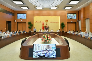 Dự thảo Luật Bảo vệ quyền lợi người tiêu dùng bảo đảm tính đồng bộ, thống nhất với hệ thống pháp luật